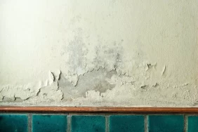 أنواع التشققات في الجدران وكيف يتم معالجتها هندسيًا